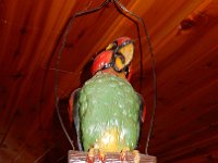111 - POLL PARROT HANGING FIGURAL DISPLAY