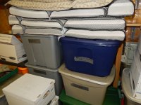 DSCN6106