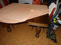 DSCN5931