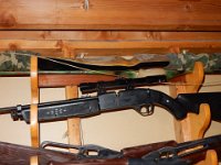 Pellet Guns