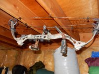 Scheels Renegade Bow