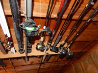 Rods & Reels