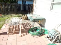 DSCN6254