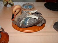 DSCN5924
