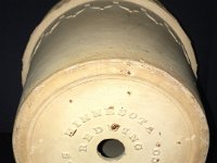 IMG 4613