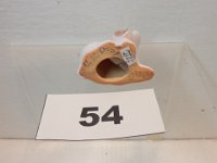 54 - BOTTOM