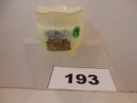 193 - ND STATE CAPITAL PICTORIAL CUSTARD GLASS PIECE