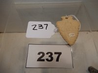 237 - OPPOSITE SIDE